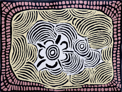 Ningura Napurrula TNIN305 Women's Ceremony 121cm x 91cm original Australian Aboriginal artwork at Tingari Arts horizontal view 002