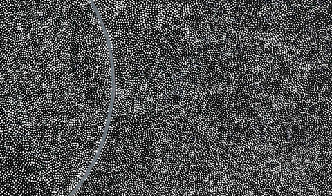 Pansy Napangati’s TPN42146 Willy Wagtail and Hail Dreaming 153cm x 91cm original Australian Aboriginal artwork at Tingari Arts detail 001