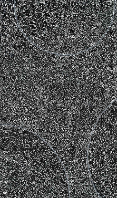 Pansy Napangati’s TPN42146 Willy Wagtail and Hail Dreaming 153cm x 91cm original Australian Aboriginal artwork at Tingari Arts vertical view 001