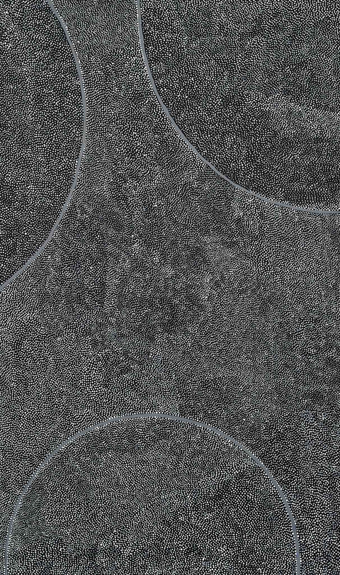 Pansy Napangati’s TPN42146 Willy Wagtail and Hail Dreaming 153cm x 91cm original Australian Aboriginal artwork at Tingari Arts vertical view 002