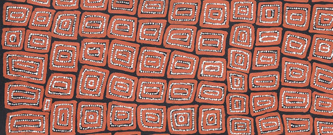 Thomas Tamayinya Tjapaltjarri TTT101 Tingari Cycle 153cm x 61cm original Australian Aboriginal artwork at Tingari Arts detail view