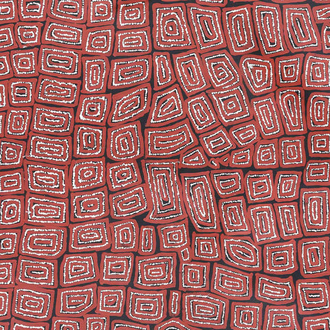 Thomas Tamayinya Tjapaltjarri TTT705 Tingari Cycle 153cm x 153cm original Australian Aboriginal artwork at Tingari Arts detail 001