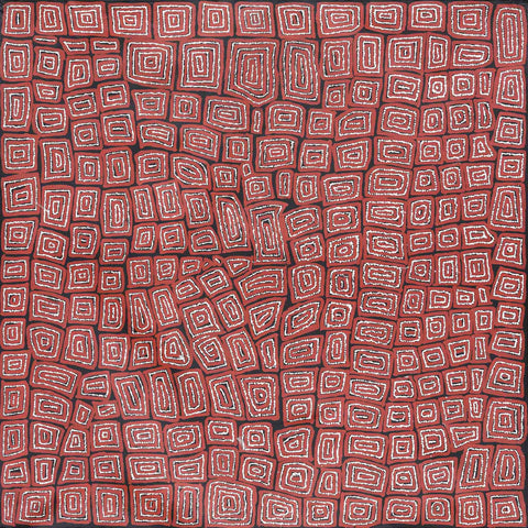 Thomas Tamayinya Tjapaltjarri TTT705 Tingari Cycle 153cm x 153cm original Australian Aboriginal artwork at Tingari Arts view 002