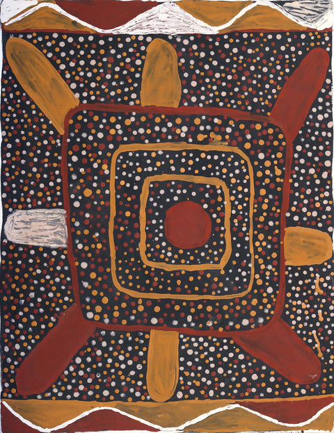 Timothy Cook 417-03 Jilamara, Milikapiti Melville Island 57cm x 74cm original Australian Aboriginal artwork at Tingari Arts vertical view 002