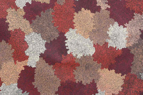 Topsy Peterson Napangardi TTP712 Sandhills west of Mt Liebig 183cm x 121cm original Australian Aboriginal artwork at Tingari detail view