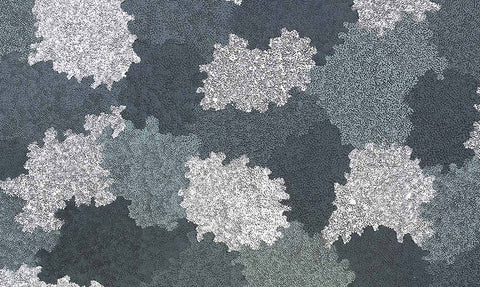 Topsy Peterson Napangardi TTP713 Sandhills west of Mt Liebig 153cm x 121cm original Australian Aboriginal artwork at Tingari detail view