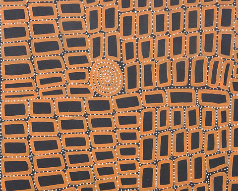 Walala Tjapaltjarri TWT1008 Tingari Cycle 153cm x 121cm original Australian Aboriginal artwork at Tingari Arts detail view