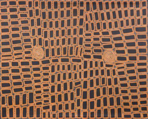Walala Tjapaltjarri TWT1008 Tingari Cycle 153cm x 121cm original Australian Aboriginal artwork at Tingari Arts horizontal view 001