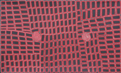 Walala Tjapaltjarri TWT1009-6 Tingari Cycle 153cm x 91cm original Australian Aboriginal artwork at Tingari Arts horizontal view 001