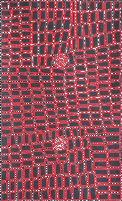 Walala Tjapaltjarri TWT1009-6 Tingari Cycle 153cm x 91cm original Australian Aboriginal artwork at Tingari Arts vertical view 002