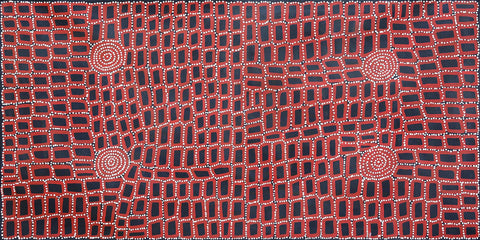 Walala Tjapaltjarri TWT1603-5 Tingari Cycle 183cm x 91cm original Australian Aboriginal artwork at Tingari Arts horizontal view