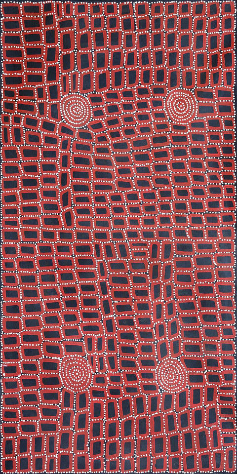 Walala Tjapaltjarri TWT1603-5 Tingari Cycle 183cm x 91cm original Australian Aboriginal artwork at Tingari Arts vertical view