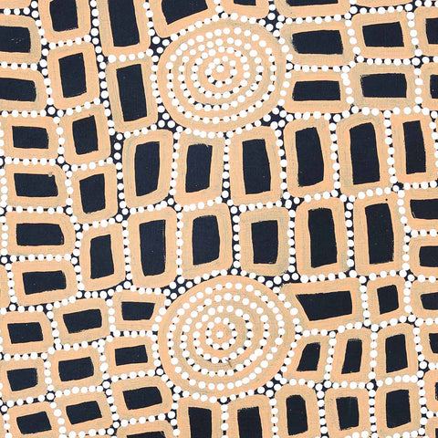 Walala Tjapaltjarri TWT1711-12 Tingari Cycle 61cm x 61cm original Australian Aboriginal artwork at Tingari Arts detail view