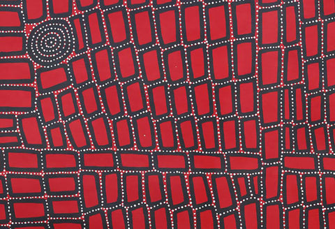 Walala Tjapaltjarri TWT814 Tingari Cycle 183cm x 121cm original Australian Aboriginal artwork at Tingari Arts detail view