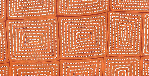 Warlimpirrnga Tjapaltjarri Lake Mackay Marua TWAT808 121cm x 61cm original Australian Aboriginal artwork at Tingari Arts detail view